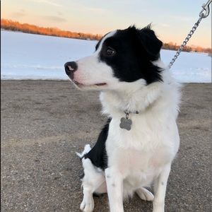 Meet your Posher, Kailey